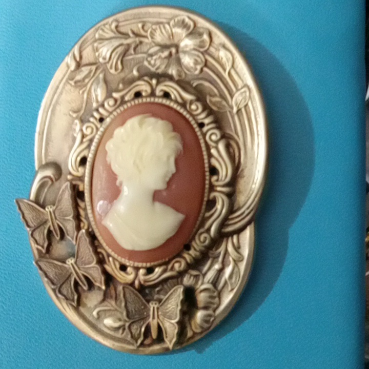 Vtg Rare Resin Cameo Brooch Large